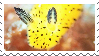 A digital stamp with a yellow nudibranch